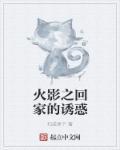 火影之回到都市林凡免费