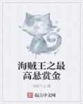 海贼王之最高悬赏金txt八零