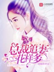 总裁追妻花样多 蓝色独角兽