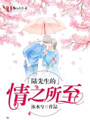 陆先生的情之所至沐水兮免费全文