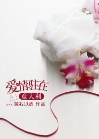 爱情驻在意大利TXT