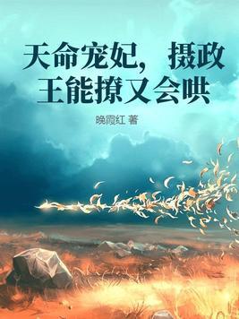 摄政王的天命医妃好看吗