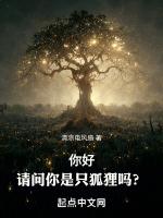 你说她是只狐狸