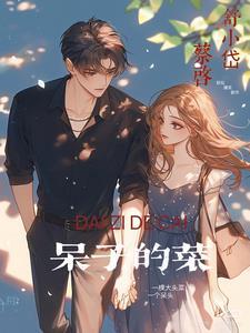 你就是我那颗菜歌词