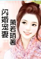 闪婚宠妻秘短剧免费