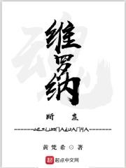 维罗纳地图