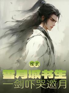 综武侠雪