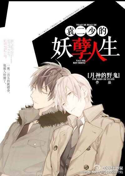 袁二少的妖孽人生256中文