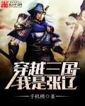 穿越三国我是张辽之子