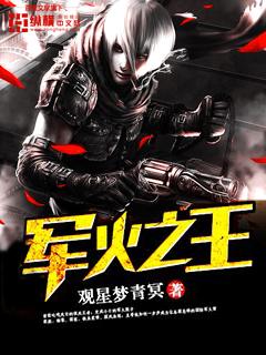 穿越大明军火之王