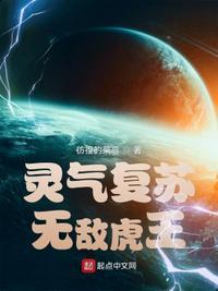 无敌虎王txt